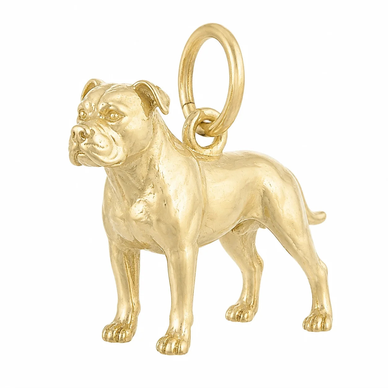 200+ Breeds Dog Charm