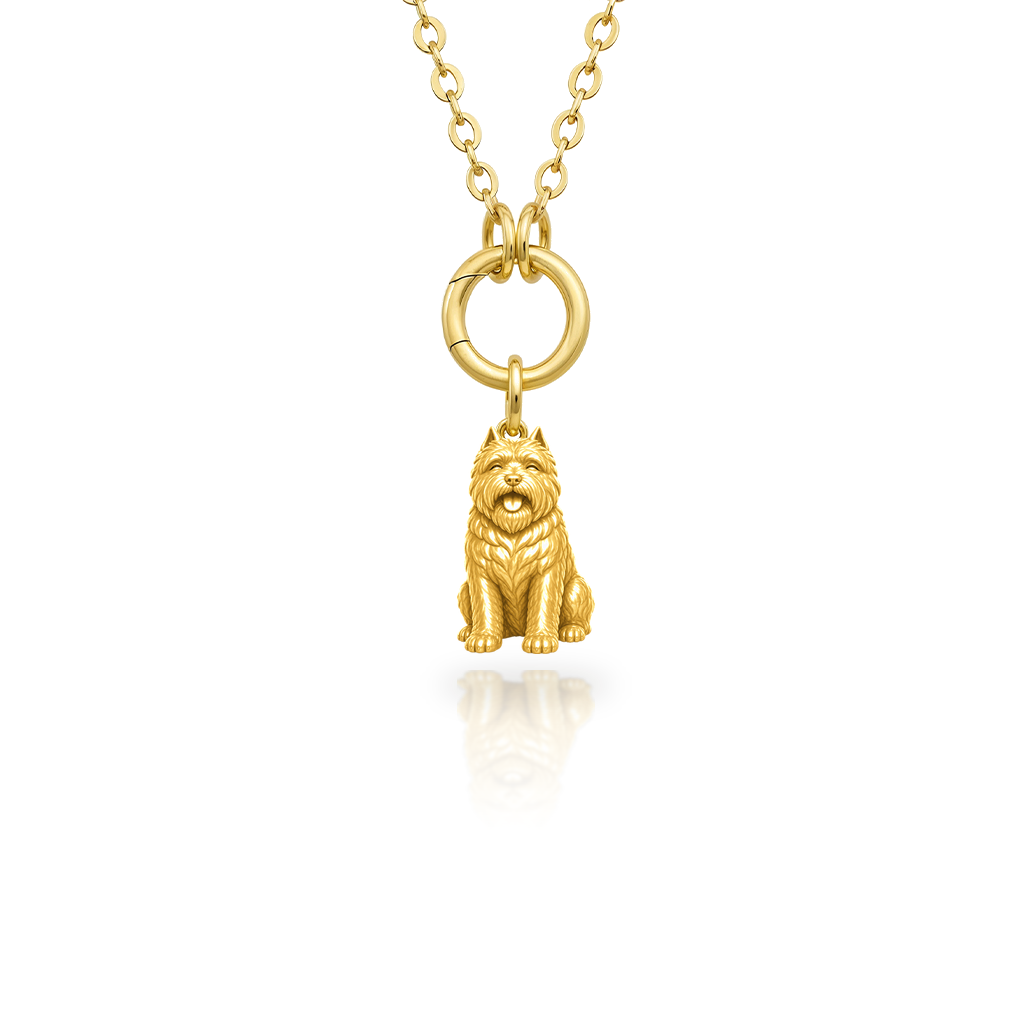 Bouvier-des-Flandres - 18K Gold Vermeil - 1st
