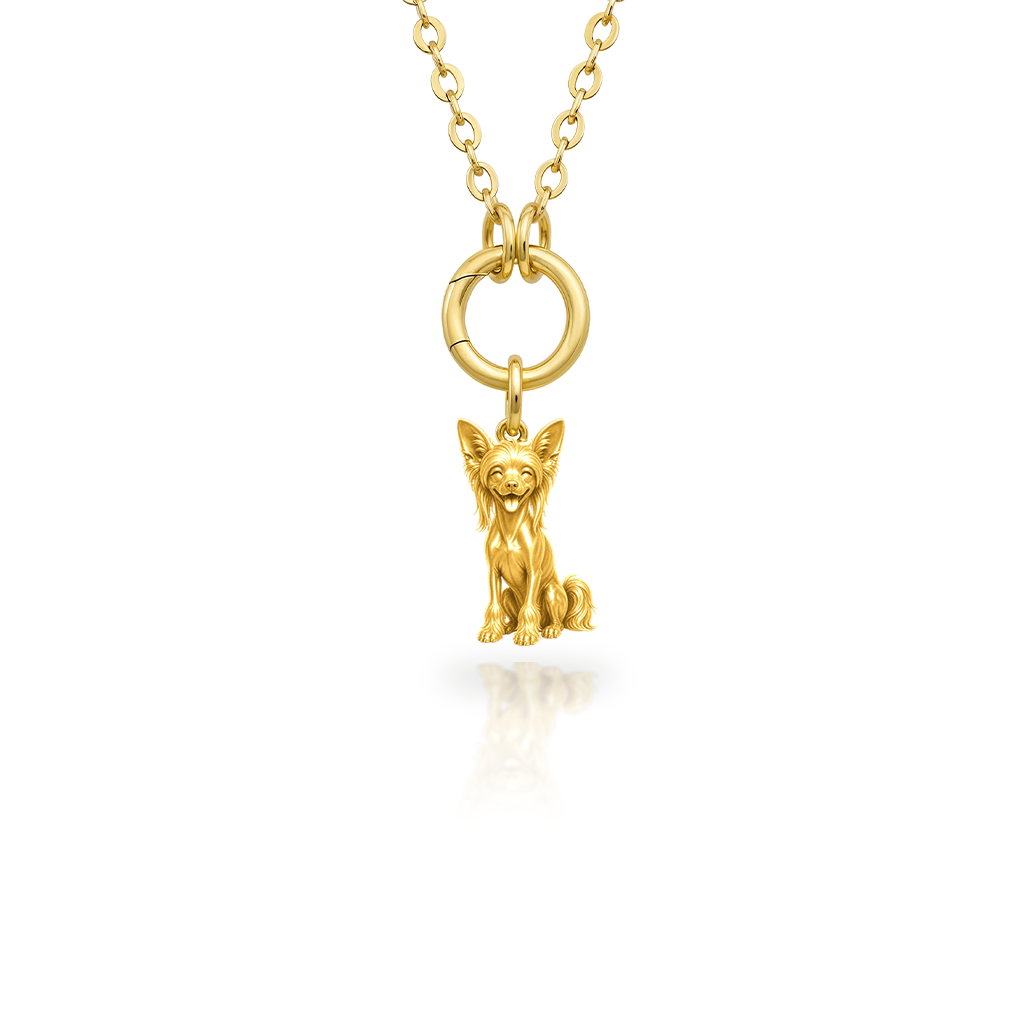 Chinese-Crested-hairless - 18K Gold Vermeil - 1st