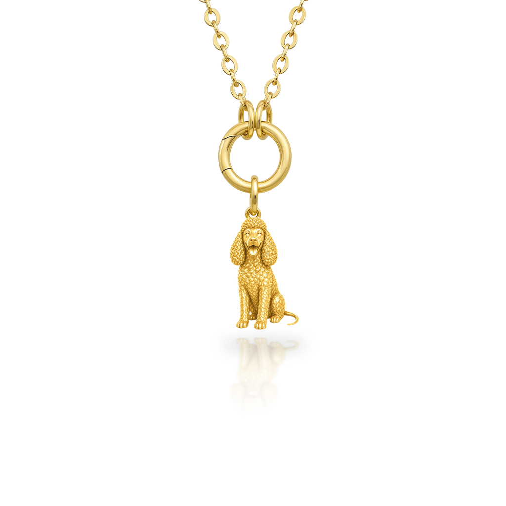 Irish-Water-Spaniel - 18K Gold Vermeil - 1st