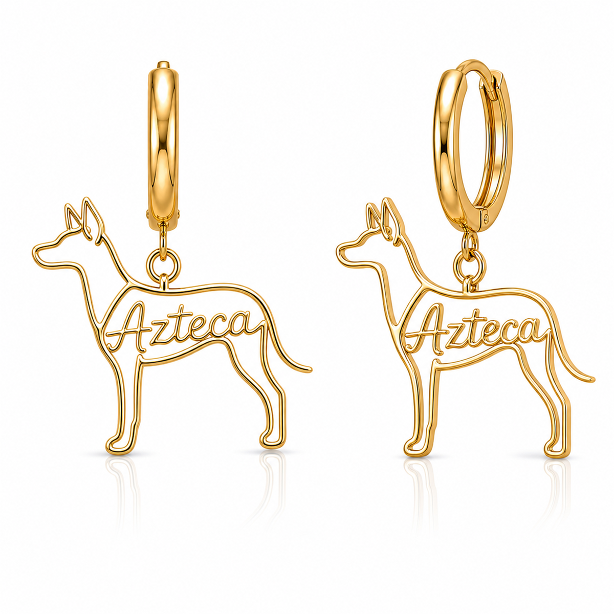 Xoloitzcuintli hairless - 18K Gold Vermeil - 1st