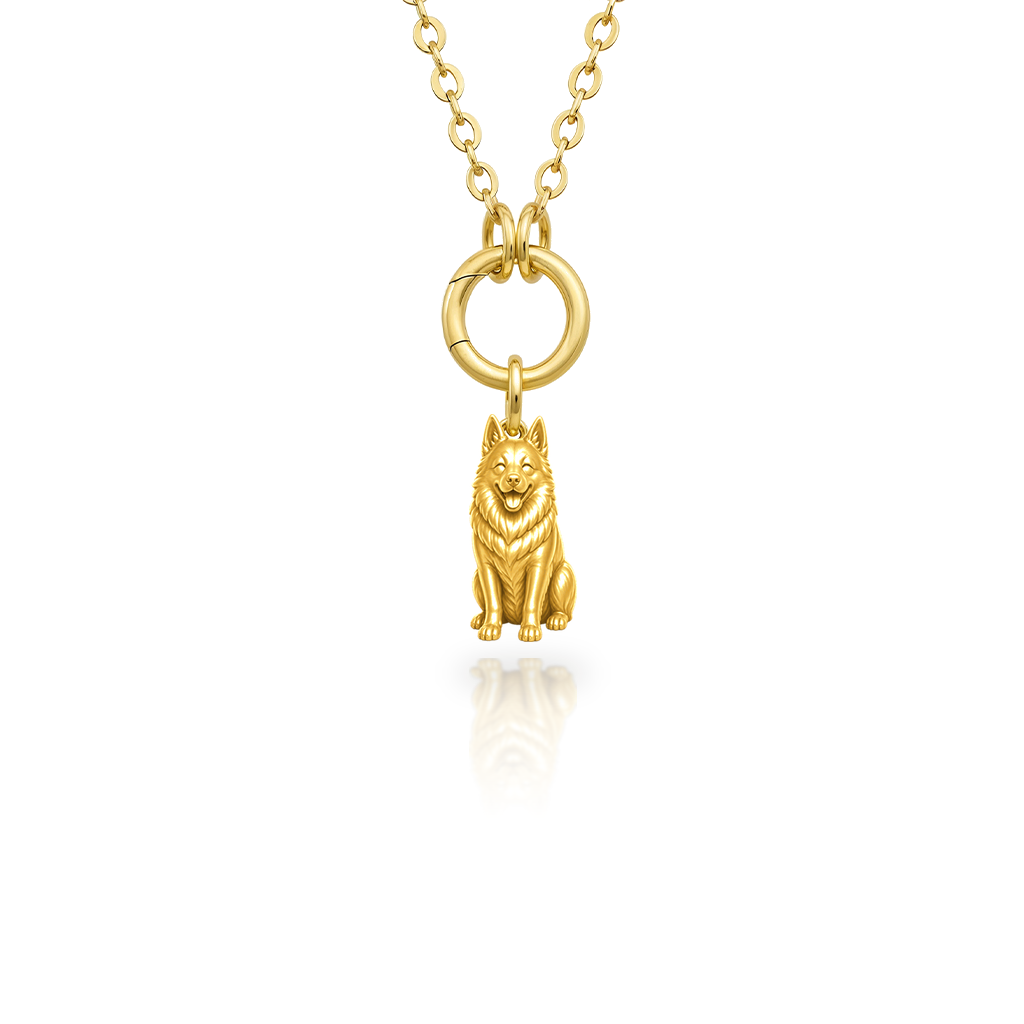 Schipperke - 18K Gold Vermeil - 1st