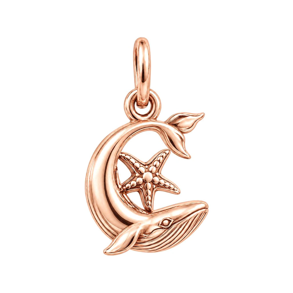 Crescent of the Sea Charm and Polyester Cord Bracelet Set