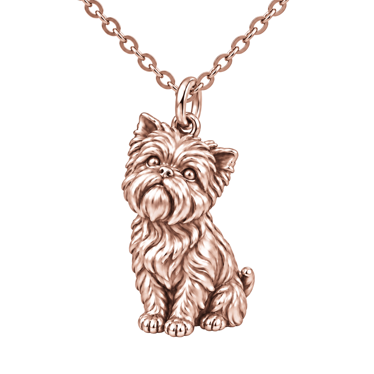 Affenpinscher charm necklace set — Rose