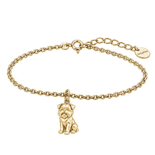 happypup-default-gallery Affenpinscher — Gold