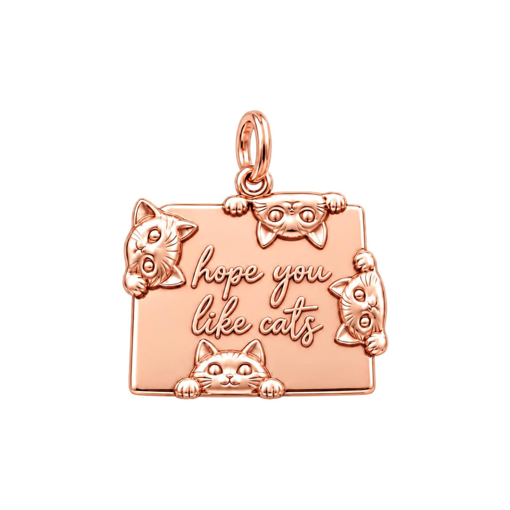 Hope You Like Cats Charm Bracelet – Personalized Cat Mom Gift – rose gold 3 cm charm, front view