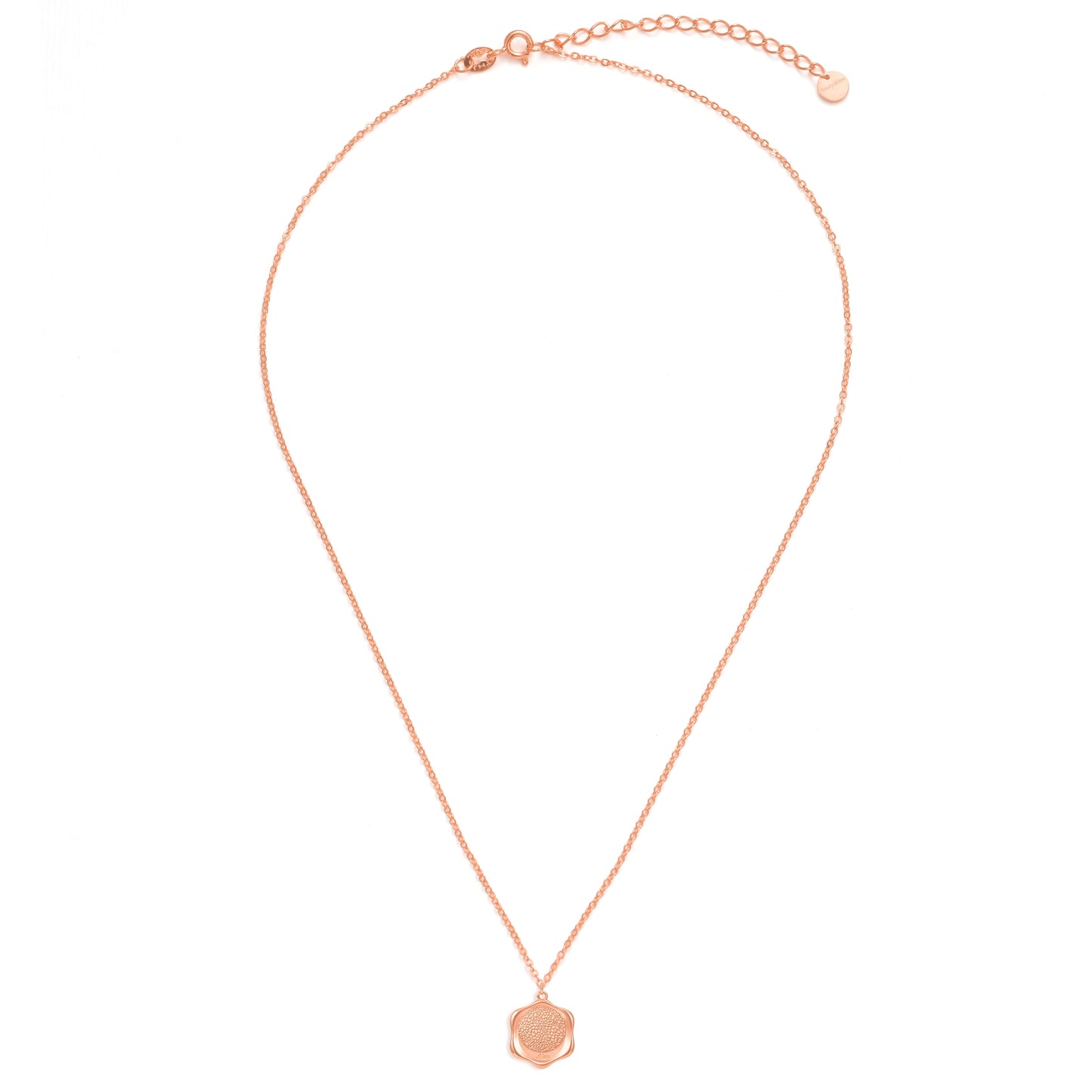 Soulyshine Precious Nose - Upload Pet Nose Photo Necklace