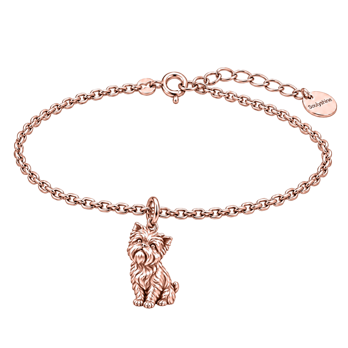 Affenpinscher The Way You Look at Me Every Day Dog Charm Bracelet — Rose Gold — Filled Flat Cable Chain