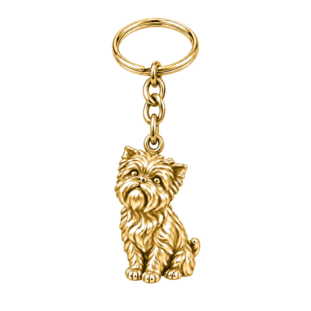 Affenpinscher — The Way You Look at Me Every Day Dog Charm Keychain — 18K Gold Plated