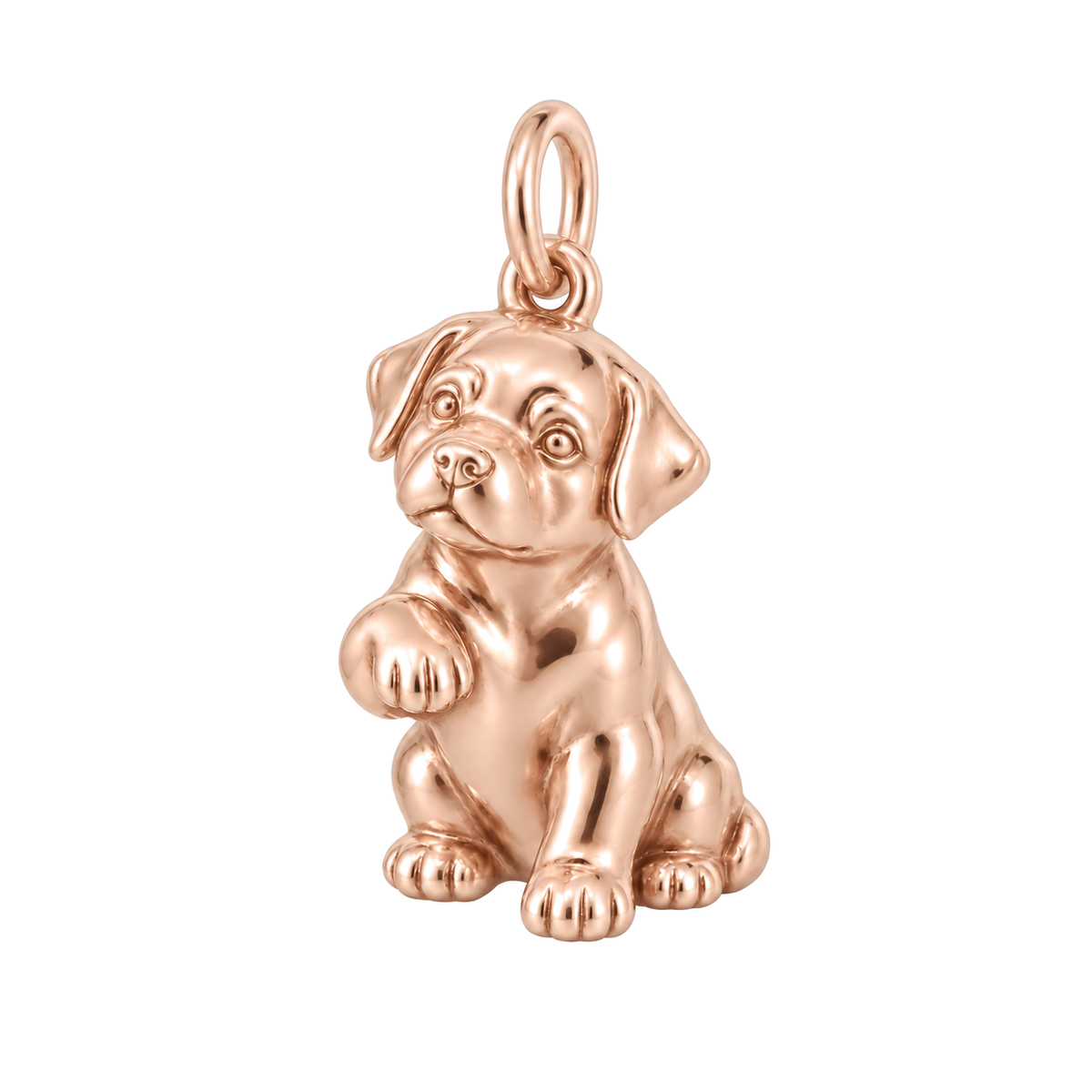Rottweiler — My Baby Charm and Polyester Cord Bracelet Set — Rose Gold