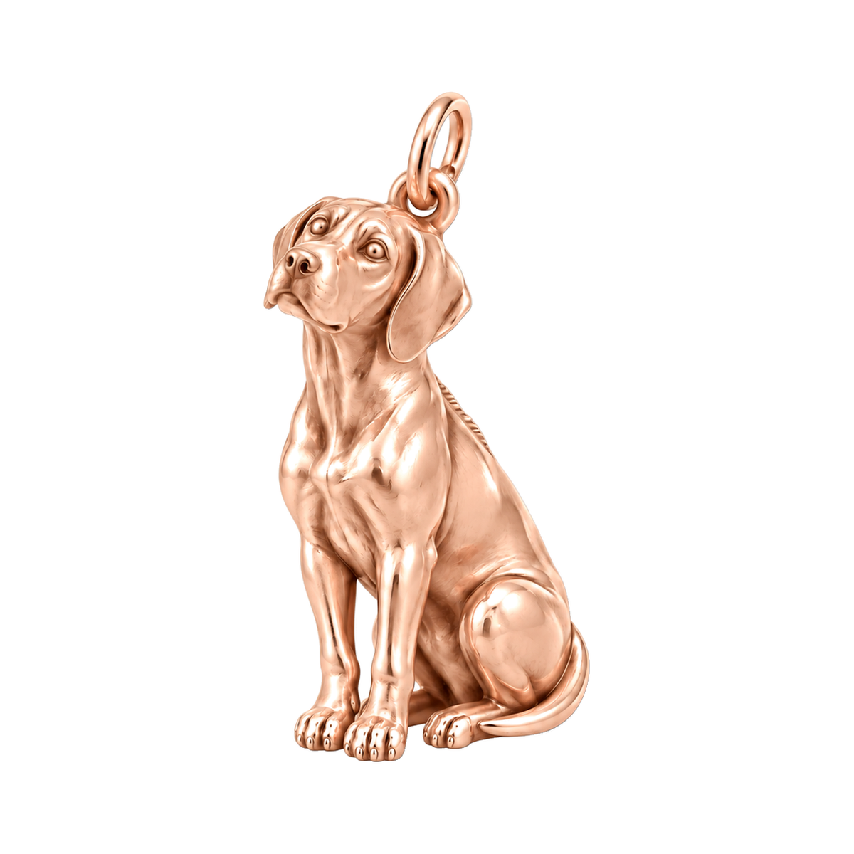 Rhodesian Ridgeback — The Way You Look at Me Every Day Charm — Rose Gold