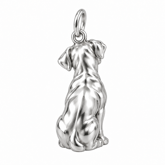 Boxer — Back view (silver reference)