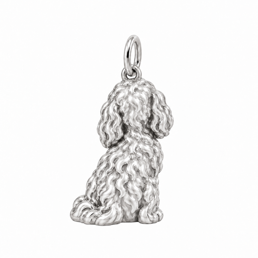 Cavapoo — Back view (silver reference)