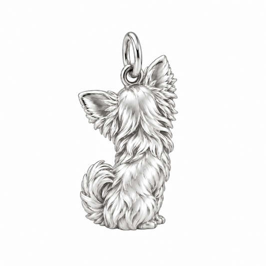 Chihuahua - long hair — Back view (silver reference)
