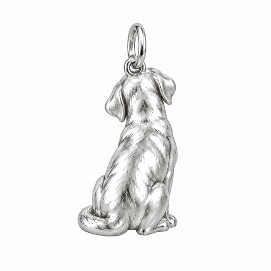 Labrador Retriever — Back view (silver reference)