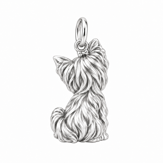 Yorkshire Terrier — Back view (silver reference)