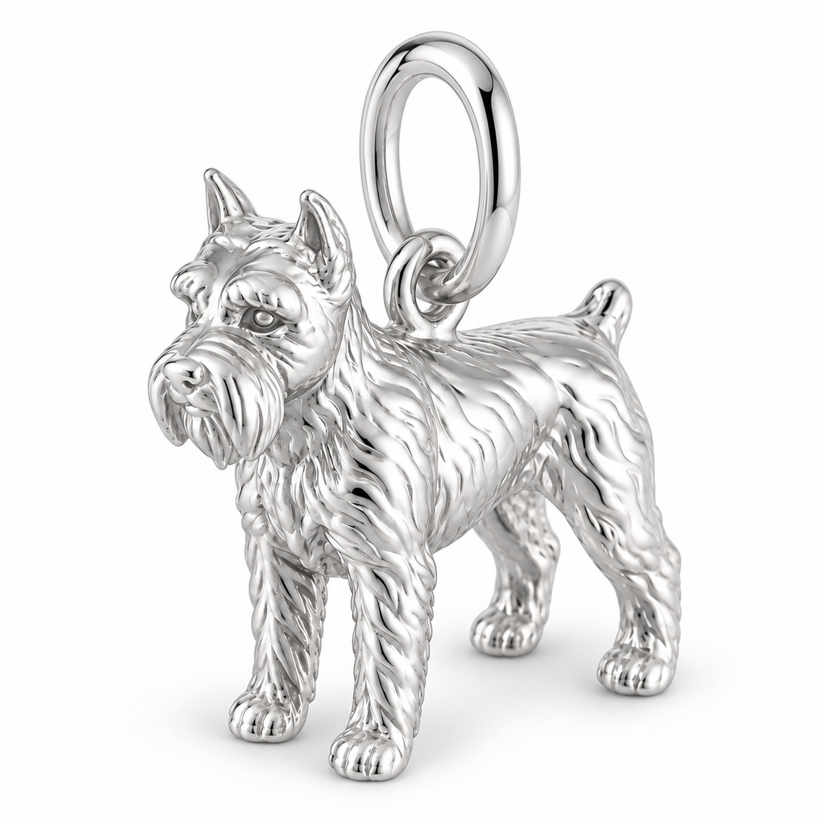 Polished silver dog charm – Schnauzer - Miniature, cropped ears