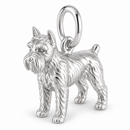 Polished silver dog charm – Schnauzer - Miniature, cropped ears