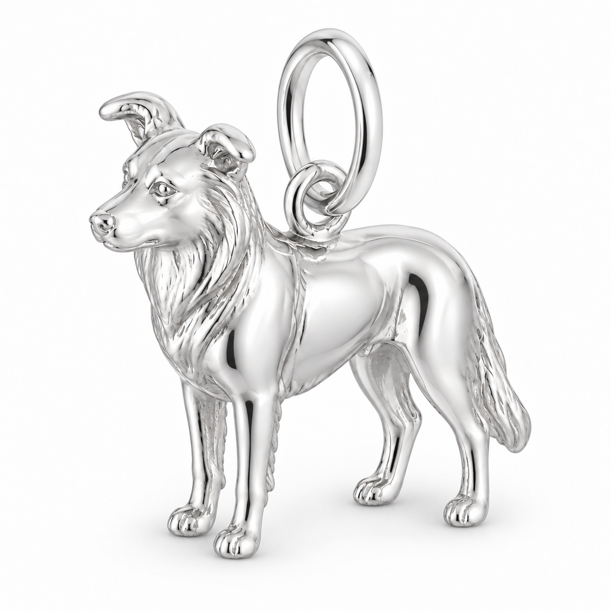 Polished silver dog charm – Border Collie - smooth coat