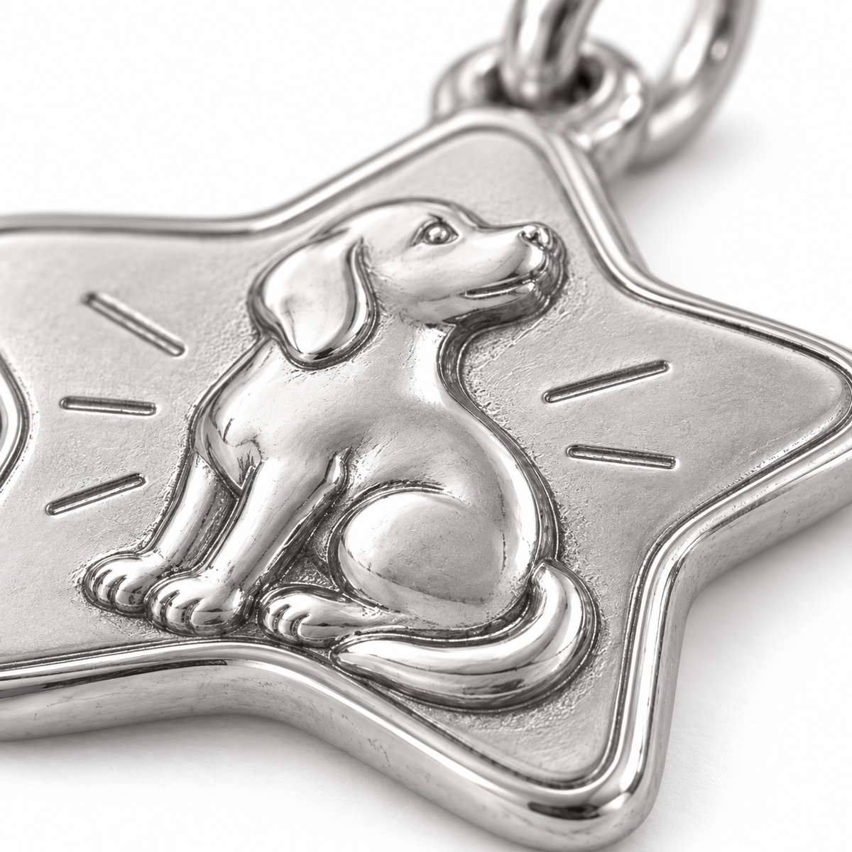 Super macro surface detail of Shining Star Pup Charm from a low oblique angle