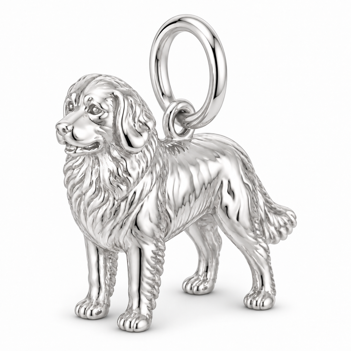 Polished silver dog charm – Bernese Mountain Dog