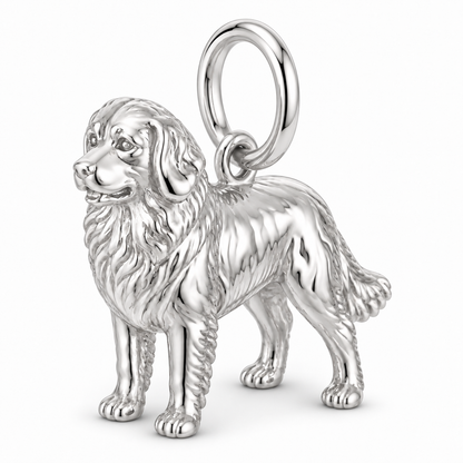 Polished silver dog charm – Bernese Mountain Dog
