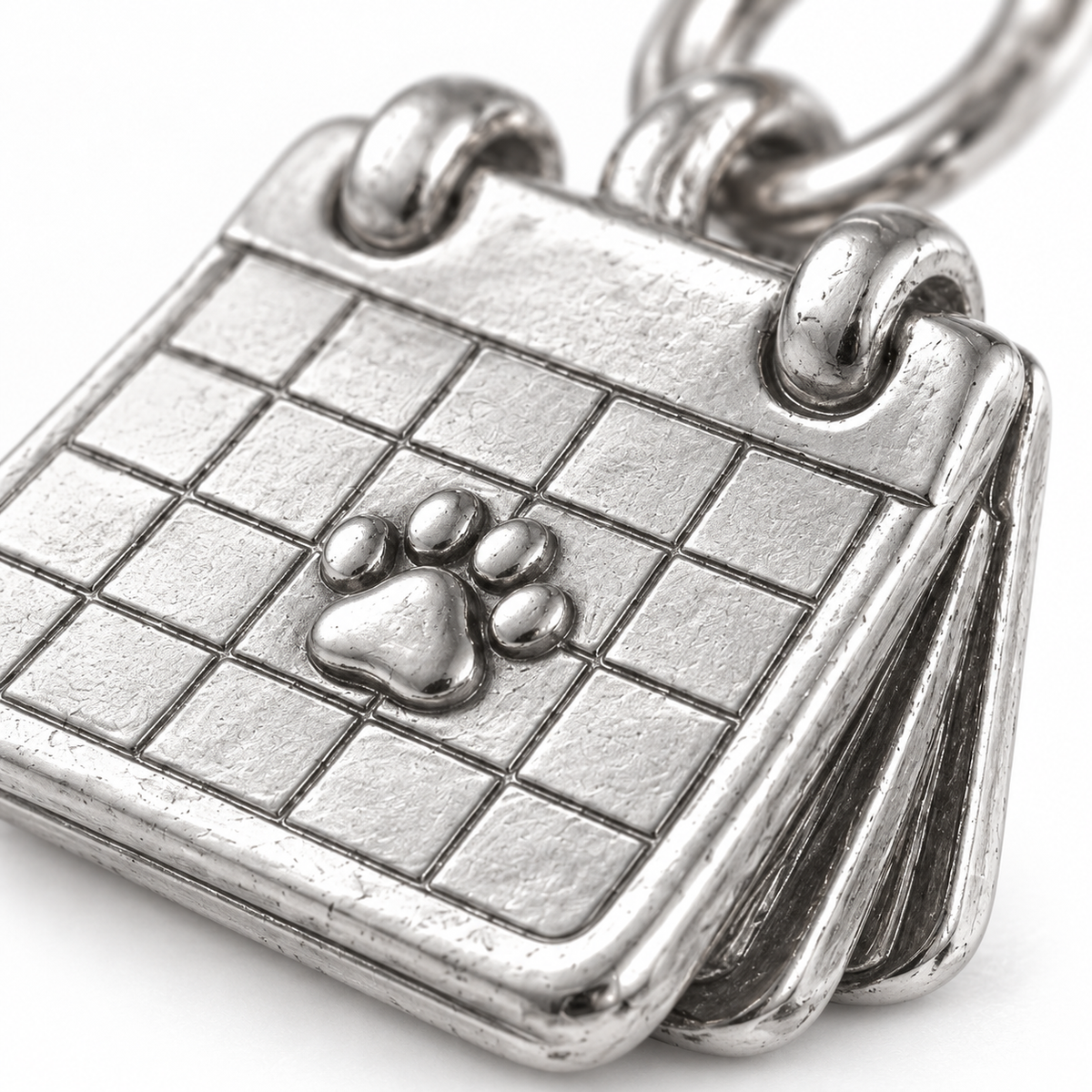 Super macro surface detail of Gotcha Day Calendar Charm from a low oblique angle