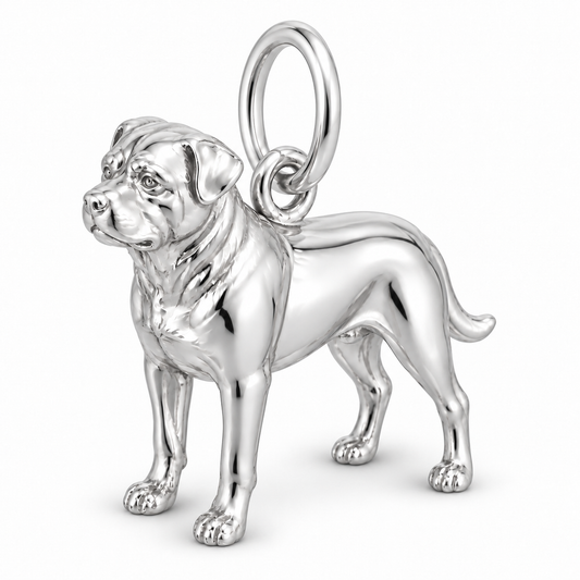 Rottweiler — Standing Dog Charm and Polyester Cord Bracelet Set — Silver