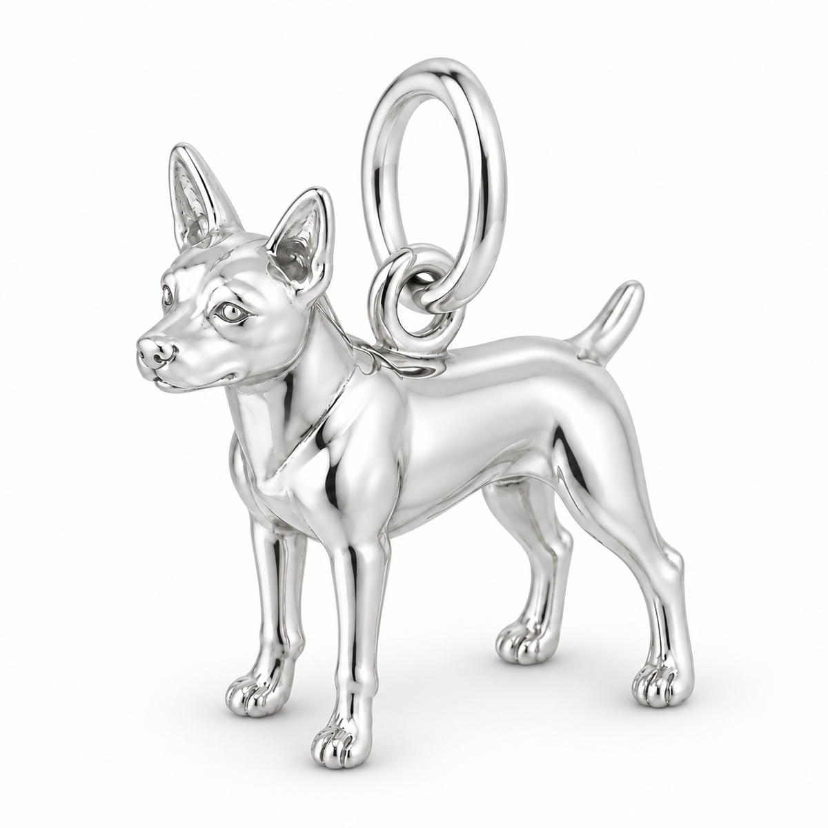 Polished silver dog charm – Rat Terrier