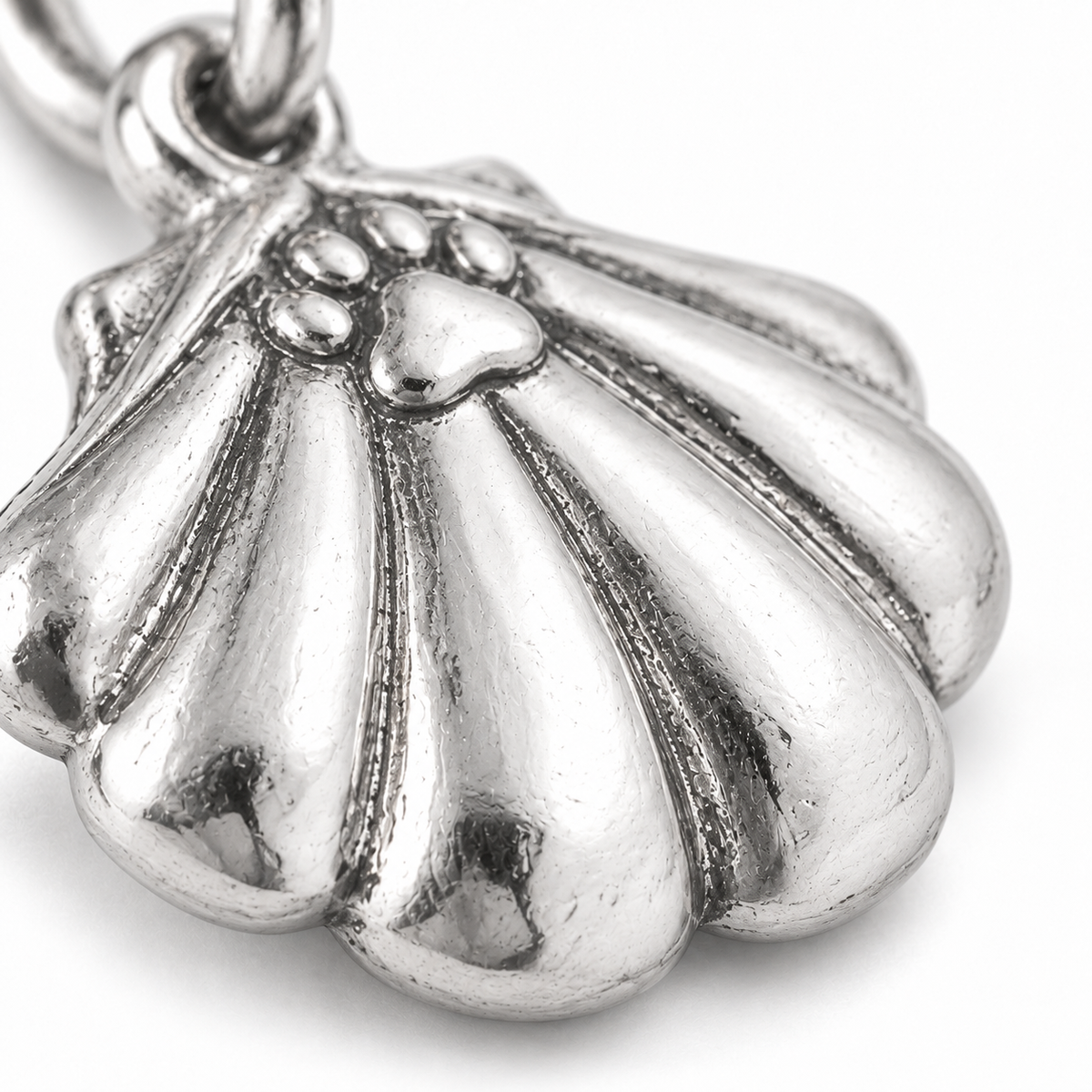 Super macro surface detail of Seaside Paw Shell Charm from a low oblique angle