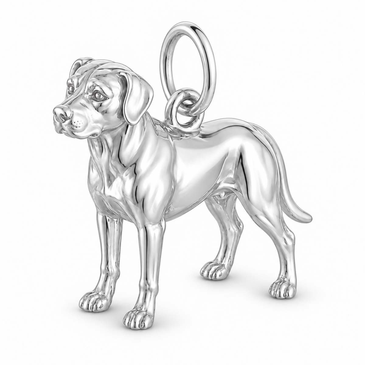 Polished silver dog charm – Catahoula Leopard Dog
