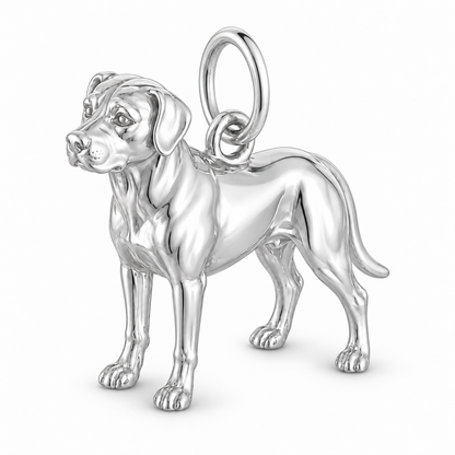 Polished silver dog charm – Catahoula Leopard Dog