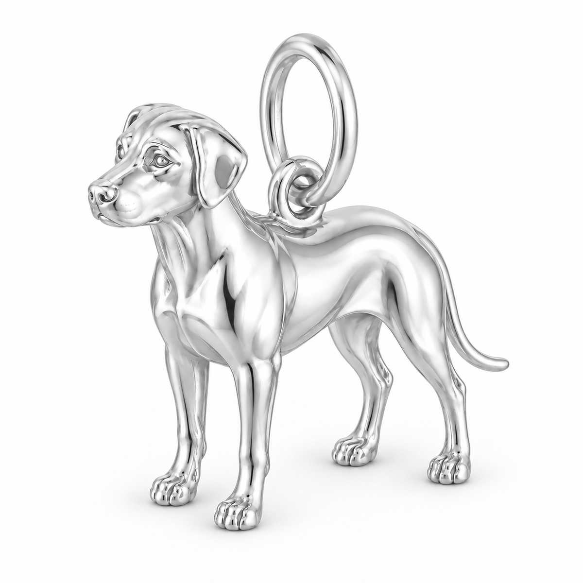 Rhodesian Ridgeback — Standing Dog Charm and Polyester Cord Bracelet Set — Silver