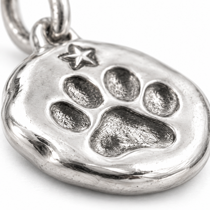 Super macro surface detail of Pawprint Forever Charm from a low oblique angle