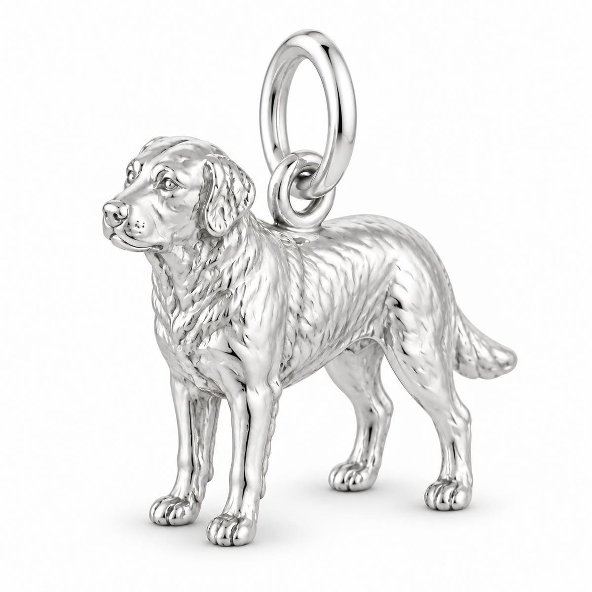 Polished silver dog charm – Chesapeake Bay Retriever