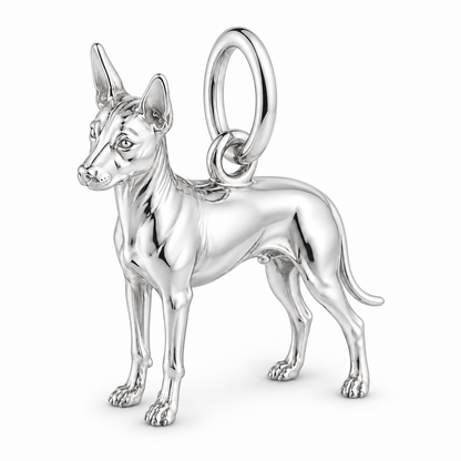 Polished silver dog charm – Xoloitzcuintli - hairless