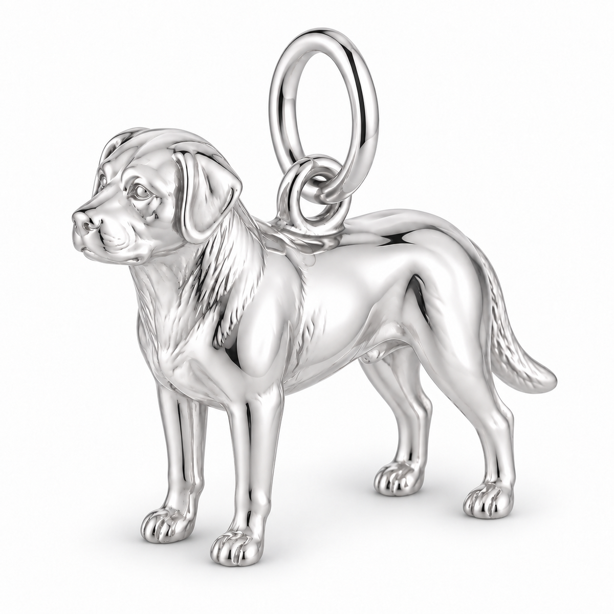 Polished silver dog charm – Greater Swiss Mountain Dog