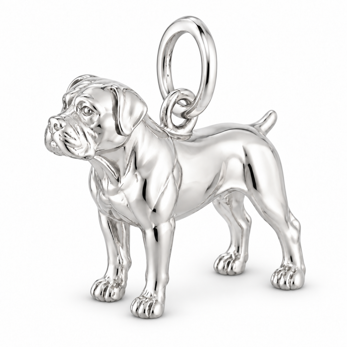 Polished silver dog charm – Boerboel