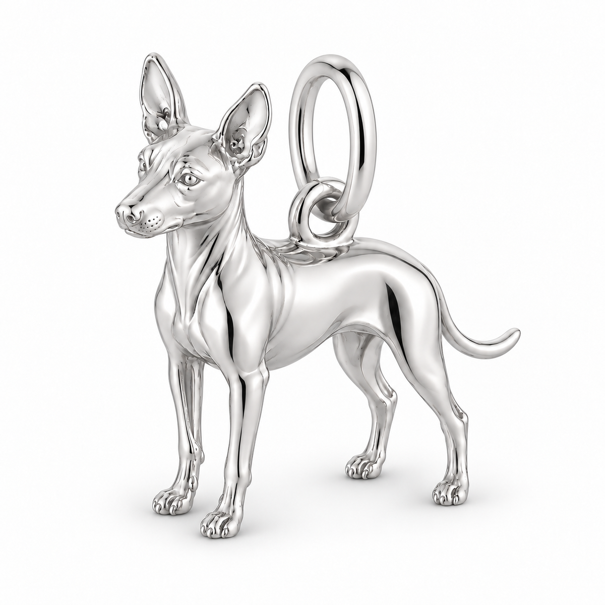 Polished silver dog charm – American Hairless Terrier - hairless