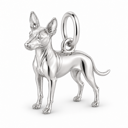 Polished silver dog charm – American Hairless Terrier - hairless
