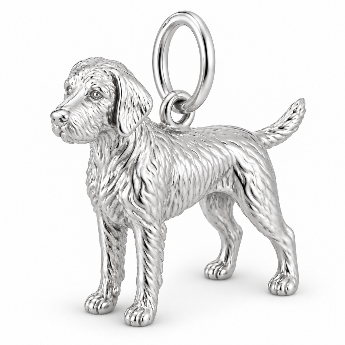 Polished silver dog charm – Wirehaired Vizsla