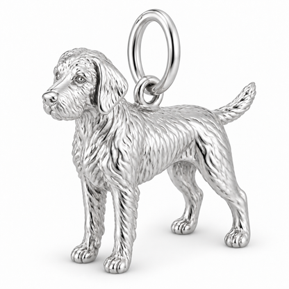 Polished silver dog charm – Wirehaired Vizsla