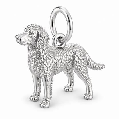 Polished silver dog charm – Curly-Coated Retriever