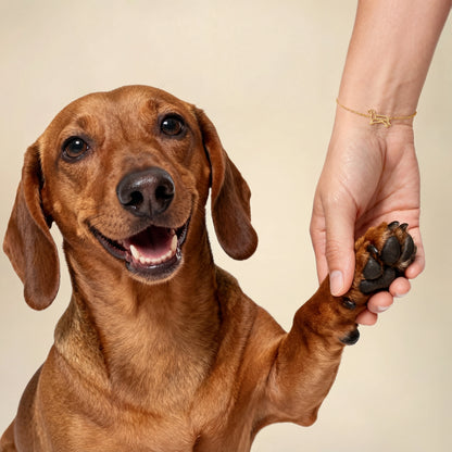 Soulyshine The Fine Line Dog Portrait - Handcrafted Bracelet