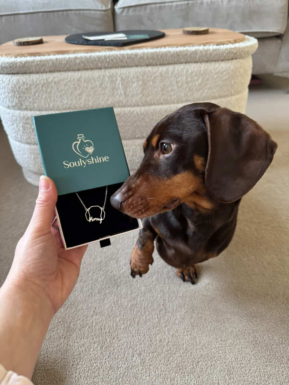 Soulyshine Dachshund Whisper of Paws – Personalized Outline Your Pet's Face and Name Necklace
