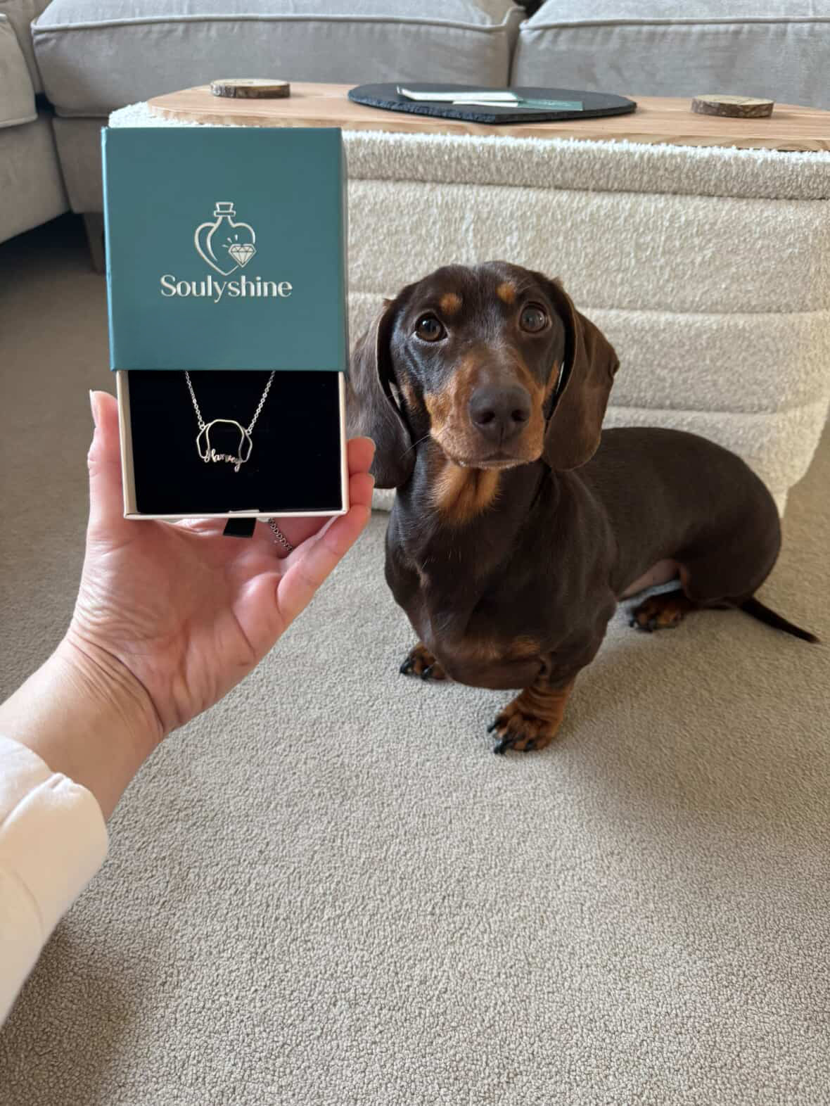 Soulyshine Dachshund Whisper of Paws – Personalized Outline Your Pet's Face and Name Necklace