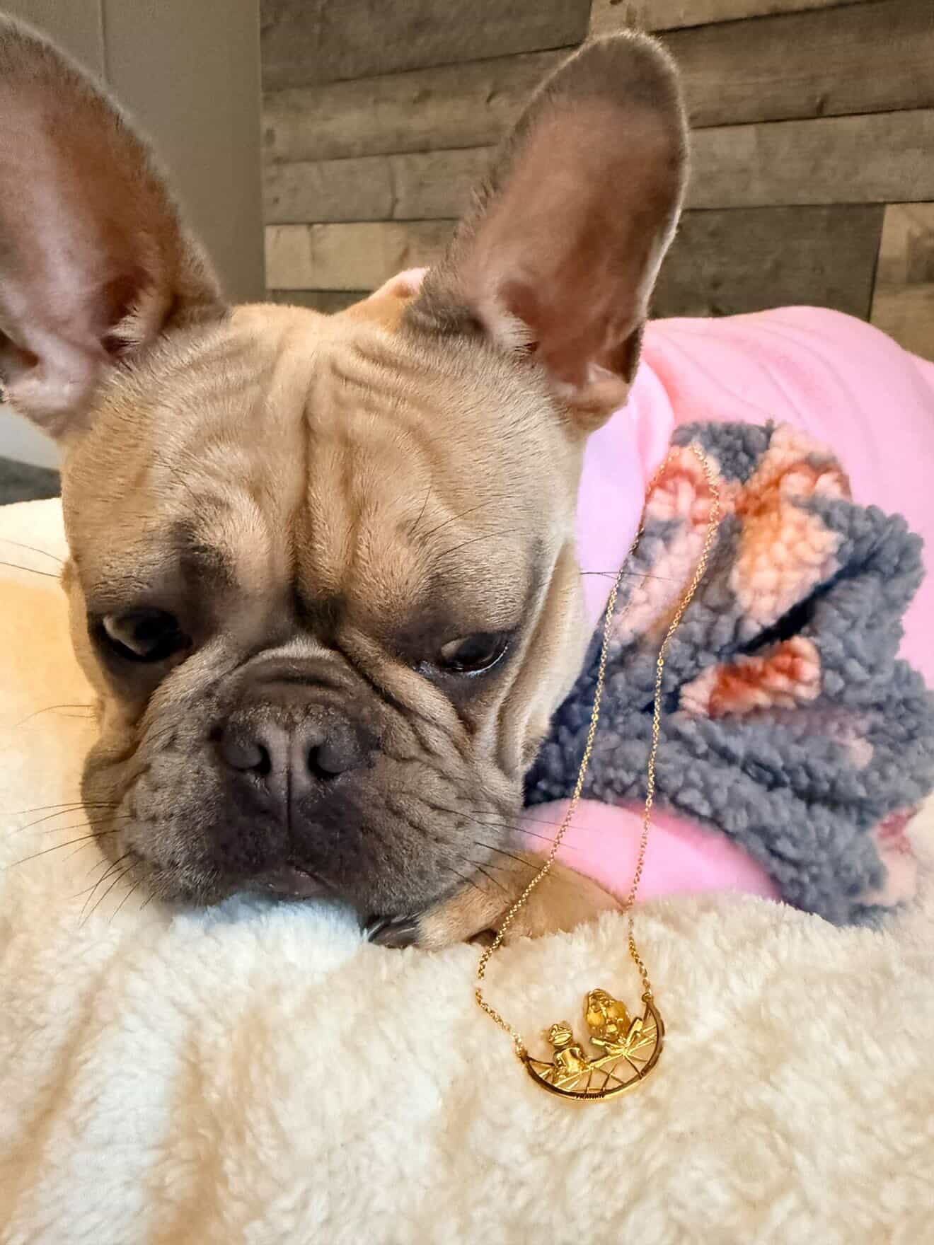 Soulyshine French Bulldog Signature - Personalized Companion Handcrafted Necklace