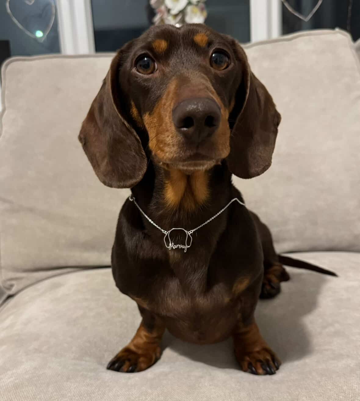 Soulyshine Dachshund Whisper of Paws – Personalized Outline Your Pet's Face and Name Necklace