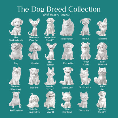 Soulyshine Purest Bond - The Petite Companion Charm Necklace