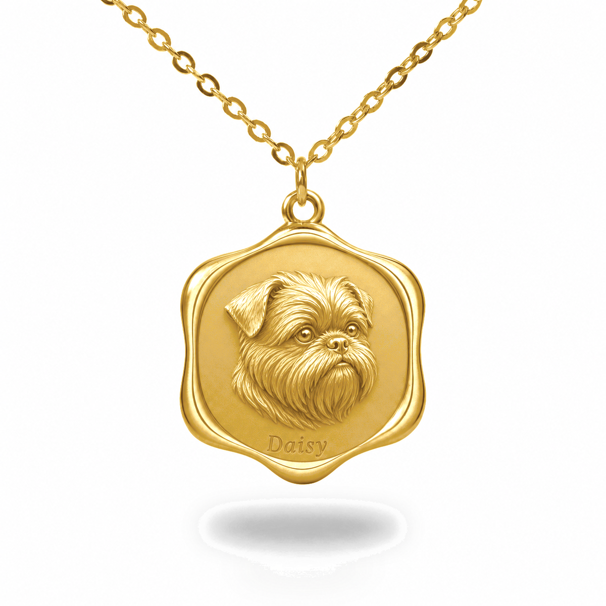 Soulyshine Affenpinscher Precious Paw personalized pet photo necklace - 18K Gold Vermeil front